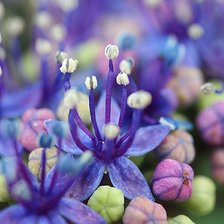 Cross stitch pattern: #849726