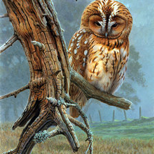 Cross stitch pattern: #849934