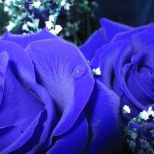 Cross stitch pattern: #850414