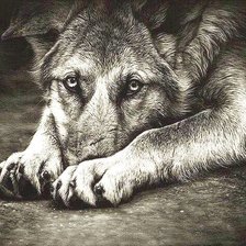 Cross stitch pattern: #852856