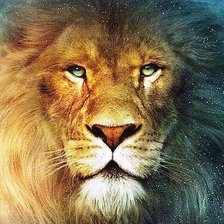 Cross stitch pattern: #852857