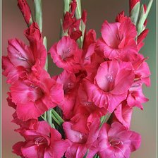 Cross stitch pattern: #853298