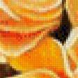 Preview of cross stitch pattern: #853524