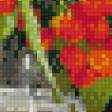 Preview of cross stitch pattern: #853731