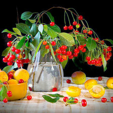 Cross stitch pattern: #853731