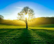 Cross stitch pattern: #853763