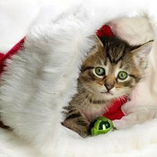 Cross stitch pattern: #853784