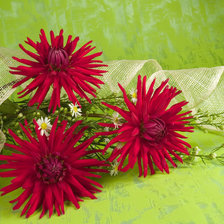 Cross stitch pattern: #854029