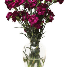 Cross stitch pattern: #854043