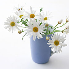 Cross stitch pattern: #854045