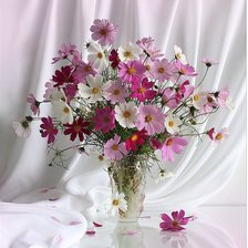 Cross stitch pattern: #854053