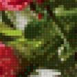 Preview of cross stitch pattern: #854072