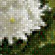 Preview of cross stitch pattern: #854093