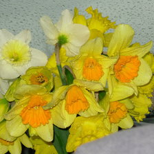 Cross stitch pattern: #854139