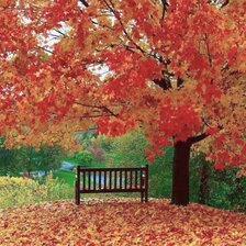 Cross stitch pattern: #854979