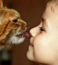 Cross stitch pattern: #854980