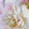 Preview of cross stitch pattern: #855039