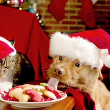 Cross stitch pattern: #855332