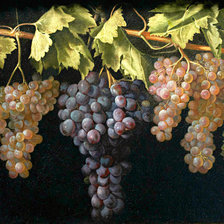 Cross stitch pattern: #855336