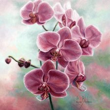 Cross stitch pattern: #855758