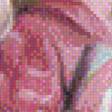 Preview of cross stitch pattern: #855760