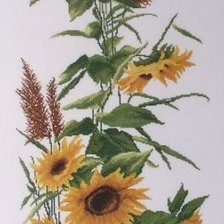 Cross stitch pattern: #856013