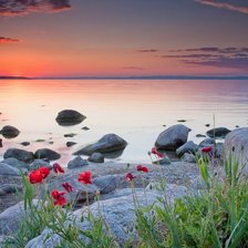 Cross stitch pattern: #856393