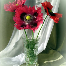 Cross stitch pattern: #856491