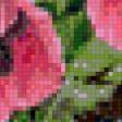 Preview of cross stitch pattern: #857257