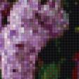 Preview of cross stitch pattern: #857259