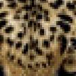Preview of cross stitch pattern: #857787