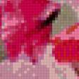 Preview of cross stitch pattern: #858063