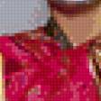 Preview of cross stitch pattern: #858103