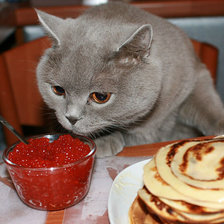 Cross stitch pattern: #858108