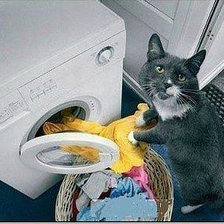 Cross stitch pattern: #858126