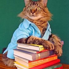 Cross stitch pattern: #858129