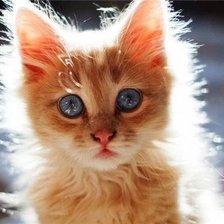 Cross stitch pattern: #858133