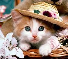 Cross stitch pattern: #858134