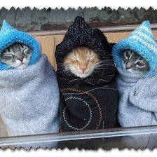 Cross stitch pattern: #858135