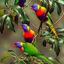 Cross stitch pattern: #858302