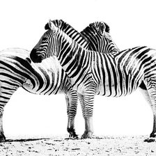 Cross stitch pattern: #858312