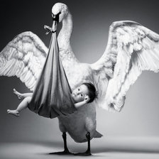 Cross stitch pattern: #858751