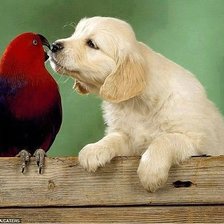 Cross stitch pattern: #859241
