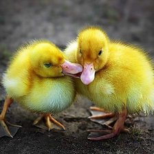 Cross stitch pattern: #859243