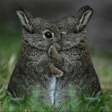 Cross stitch pattern: #859246