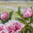 Preview of cross stitch pattern: #860607