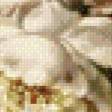 Preview of cross stitch pattern: #860807