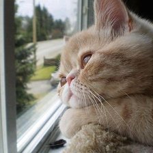 Cross stitch pattern: #860895