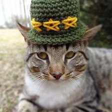 Cross stitch pattern: #860901