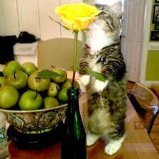 Cross stitch pattern: #860914